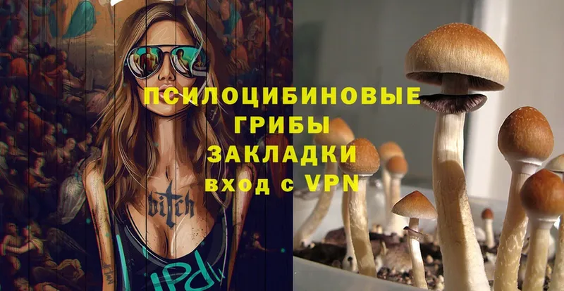 Галлюциногенные грибы MAGIC MUSHROOMS  Губкин 